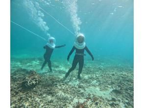 プランの魅力 Walking under the sea! の画像