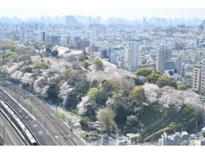 プランの魅力 北とぴあ17階の展望室から眺める飛鳥山 の画像