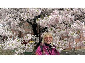 プランの魅力  の画像