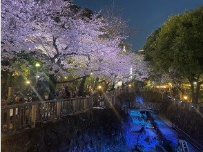 プランの魅力 夜のライトアップ の画像