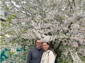 プランの魅力  の画像