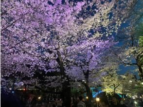 プランの魅力 夜のライトアップ の画像