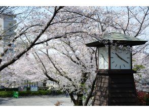 プランの魅力 飞鸟山 の画像