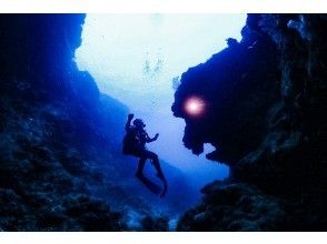 プランの魅力 ライオンロック！ の画像