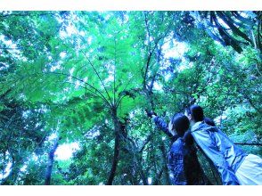 プランの魅力 夏でも冬でも の画像