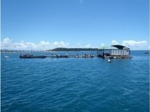 プランの魅力 きれいな海です！ の画像