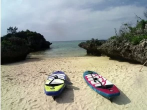 プランの魅力 無人島 の画像