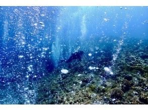 プランの魅力 の画像