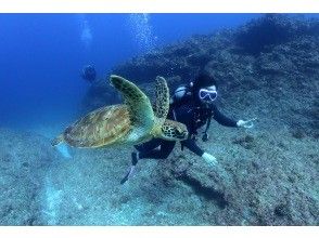 プランの魅力 の画像