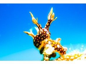 プランの魅力 の画像