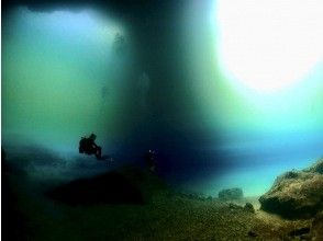 プランの魅力 の画像