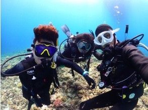 プランの魅力 の画像