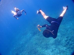 プランの魅力  の画像