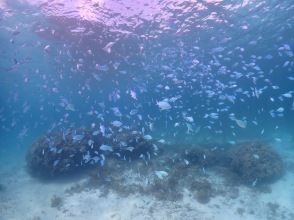 プランの魅力  の画像