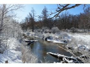 プランの魅力 霜が染める木々 の画像