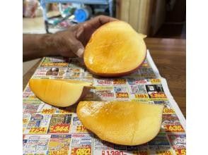 プランの魅力 おやつ(旬のフルーツ③) の画像