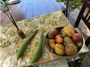 プランの魅力 おやつ(旬のフルーツ④) の画像