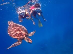 プランの魅力  の画像
