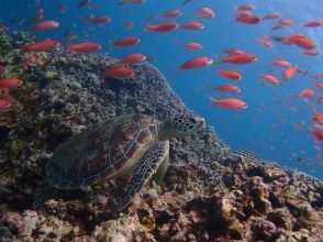 プランの魅力  の画像