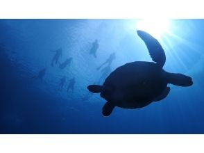 プランの魅力  の画像