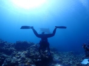 プランの魅力  の画像