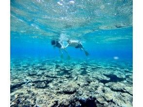 プランの魅力 八重山の透明度抜群の美しい海♪ の画像