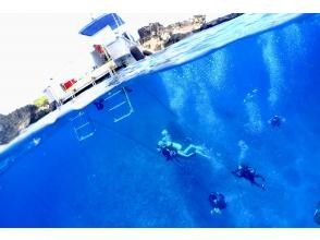 プランの魅力 ボートダイビング！ の画像