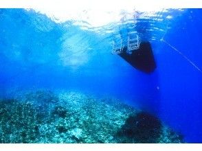プランの魅力 水深はおよそ５〜１０m！ の画像
