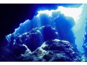 プランの魅力 差し込む光が綺麗！ の画像