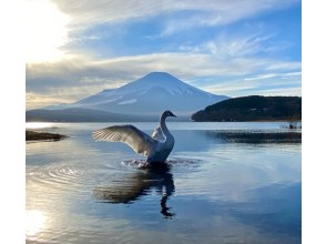 プランの魅力 Lake Yamanaka Plain Beach の画像