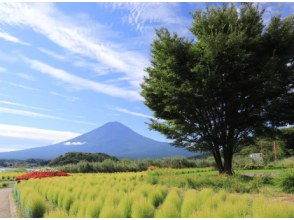 プランの魅力 Lake Kawaguchi Oishi Park の画像