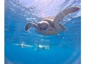 プランの魅力 体験中② の画像