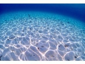 プランの魅力 透明度抜群！ の画像