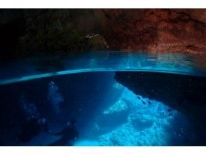 プランの魅力 ライトアップの海の世界 の画像