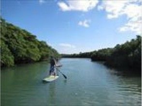 プランの魅力 พายเรือช้าทั้งหมดในขณะที่การรักษาความสมดุลยืนบนกระดานเมื่อคุณมีความคุ้นเคย の画像