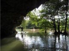 プランの魅力 Take a walk on the surface of the water while watching a lot of mangrove colonies! Sometimes the water surface becomes a mirror and the sky is reflected, so you can enjoy a fantastic landscape! の画像