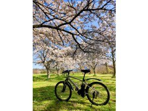 プランの魅力 桜の下をe-Bikeで散策 の画像