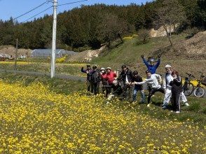 プランの魅力 菜の花畑の中を… の画像