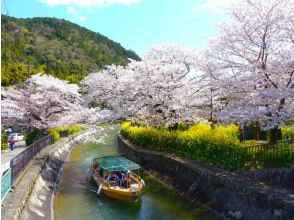 プランの魅力 桜の中、びわ湖疏水船で大津へ の画像