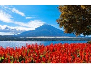 プランの魅力 Lake Kawaguchi Oishi Park の画像