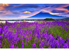 プランの魅力 Lake Kawaguchi Oishi Park の画像