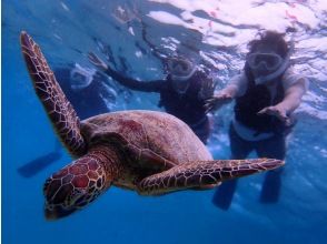 プランの魅力 Commemorative photo with sea turtles♪ の画像