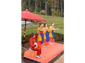 プランの魅力 三味線演奏 の画像