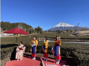 プランの魅力 雄大な富士山麓茶畑 の画像