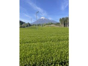 プランの魅力 最高の環境でのお茶摘み体験 の画像
