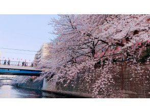 プランの魅力 目黒川の桜 の画像