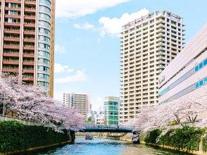 プランの魅力 桜と都会の風景 の画像