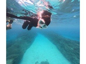 プランの魅力 の画像