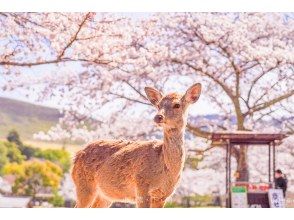 プランの魅力 奈良公園 の画像