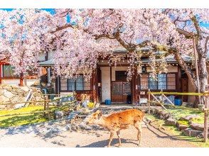 プランの魅力 奈良公園 の画像